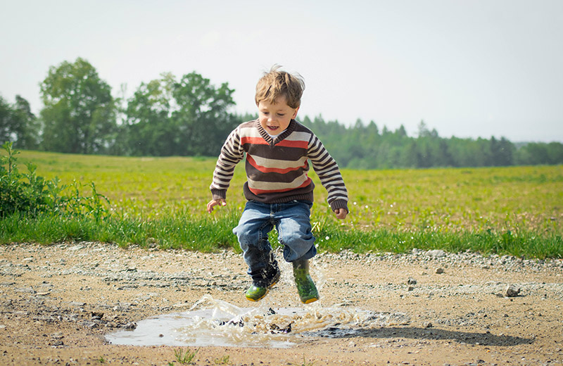 What Are the Standards for the Release of AI Toys? What Are the Standards for the Release of AI Toys?